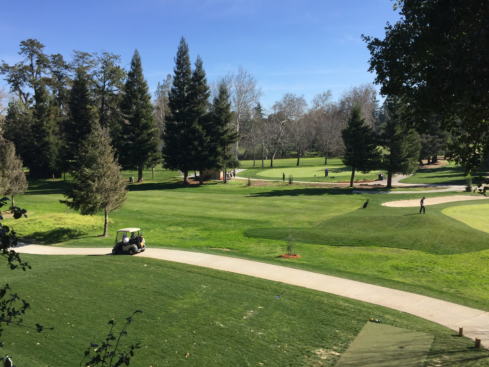 Golfrasen auf einem Golfplatz