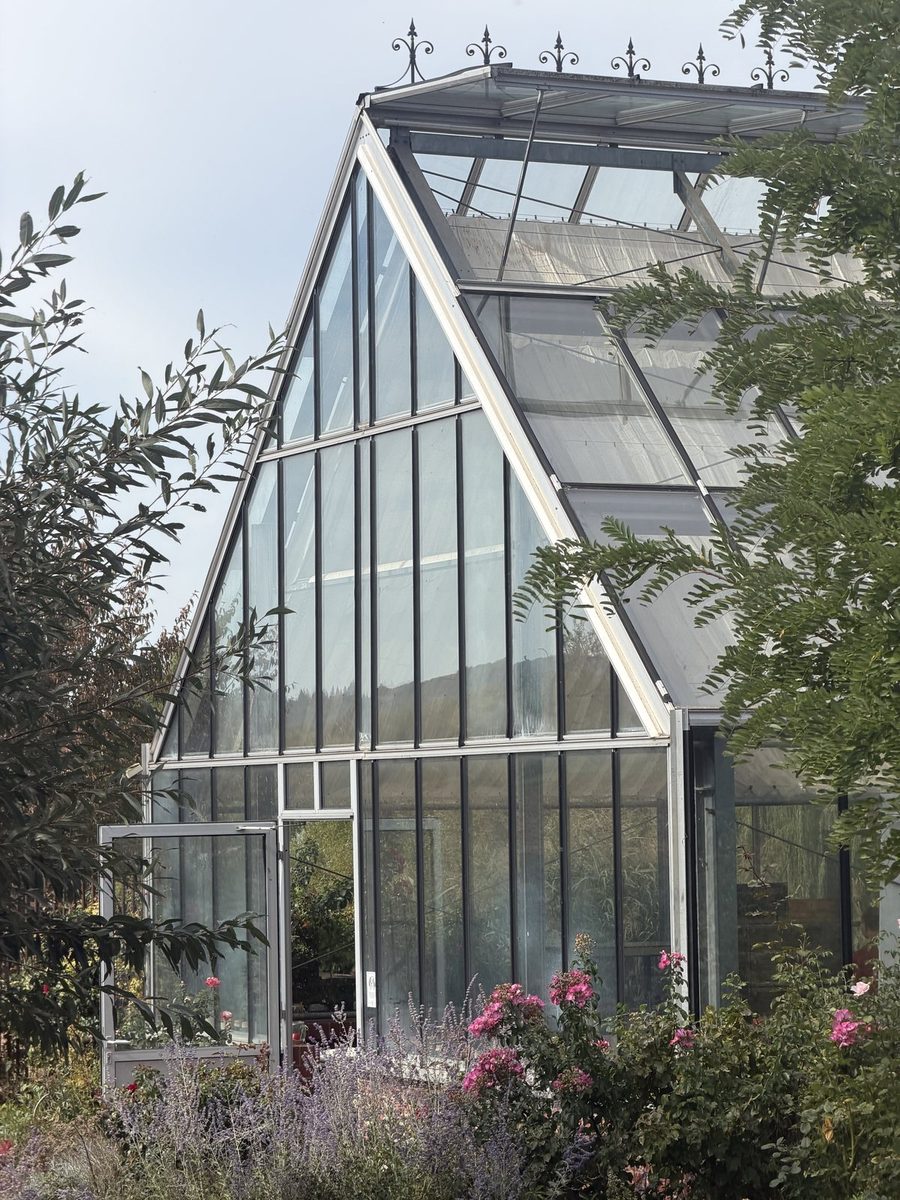 Englisches Ambiente und ein Bioland-Café auf dem Hof der Rosenschule Ruf